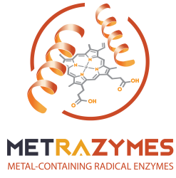 MetRaZymes